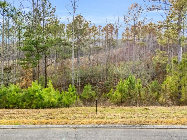 110 Quail Lane, Ocoee, TN 37361