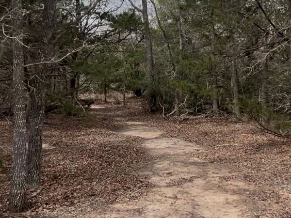Lot 10 South Old Potato RD , Paige, TX 78659