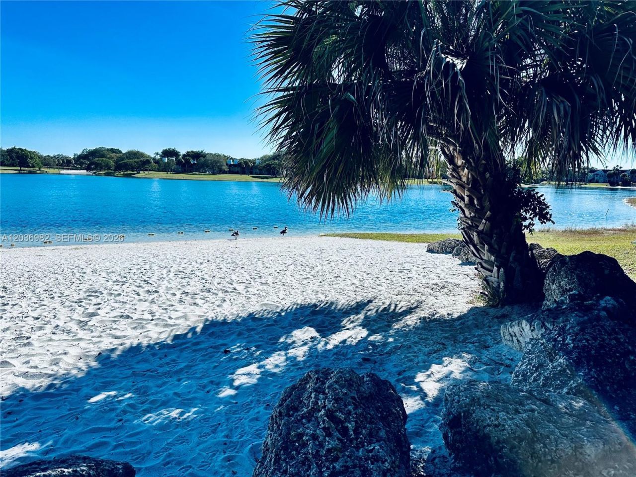 9703 Hammocks Blvd , Unit 108, Miami, FL 33196 Photo