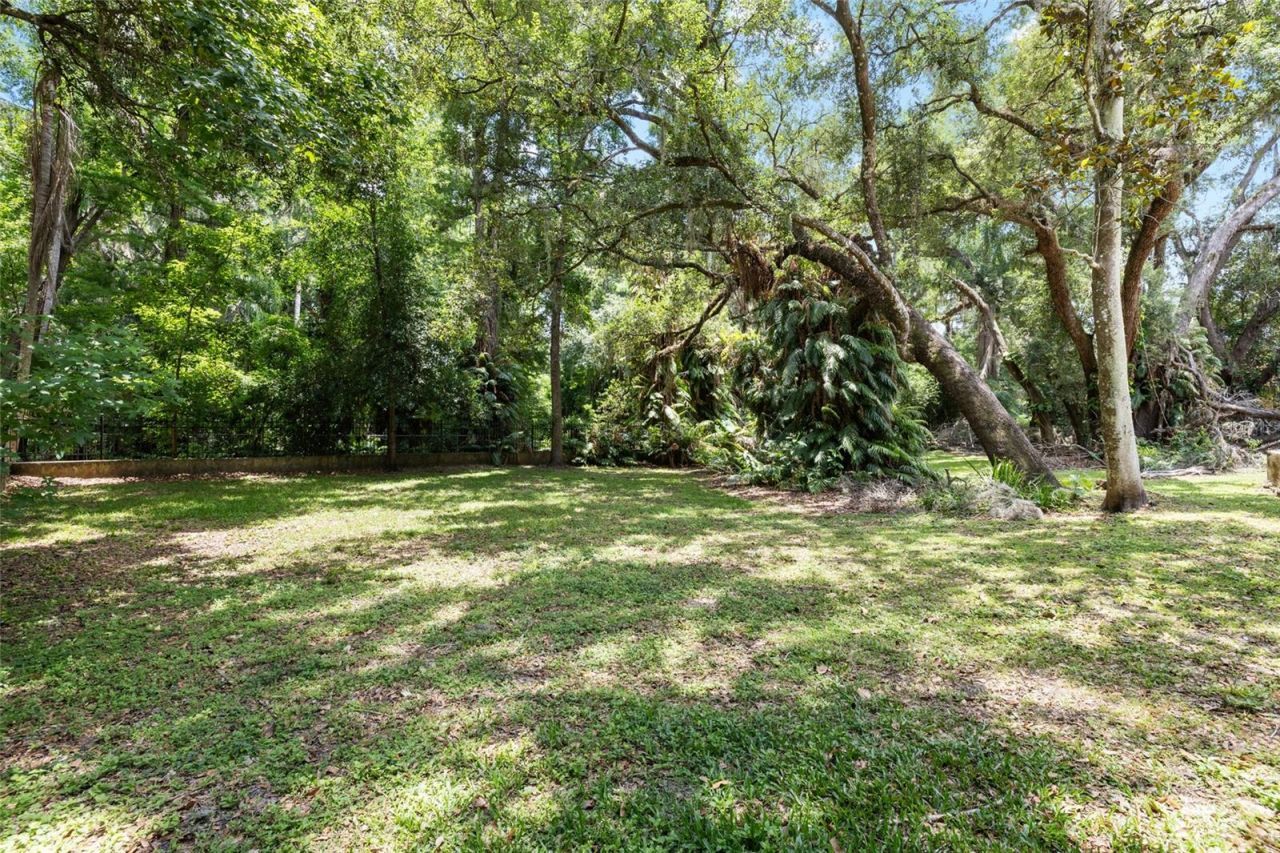 181 N Smokey Mountain Road, Seffner, FL 33584 Photo