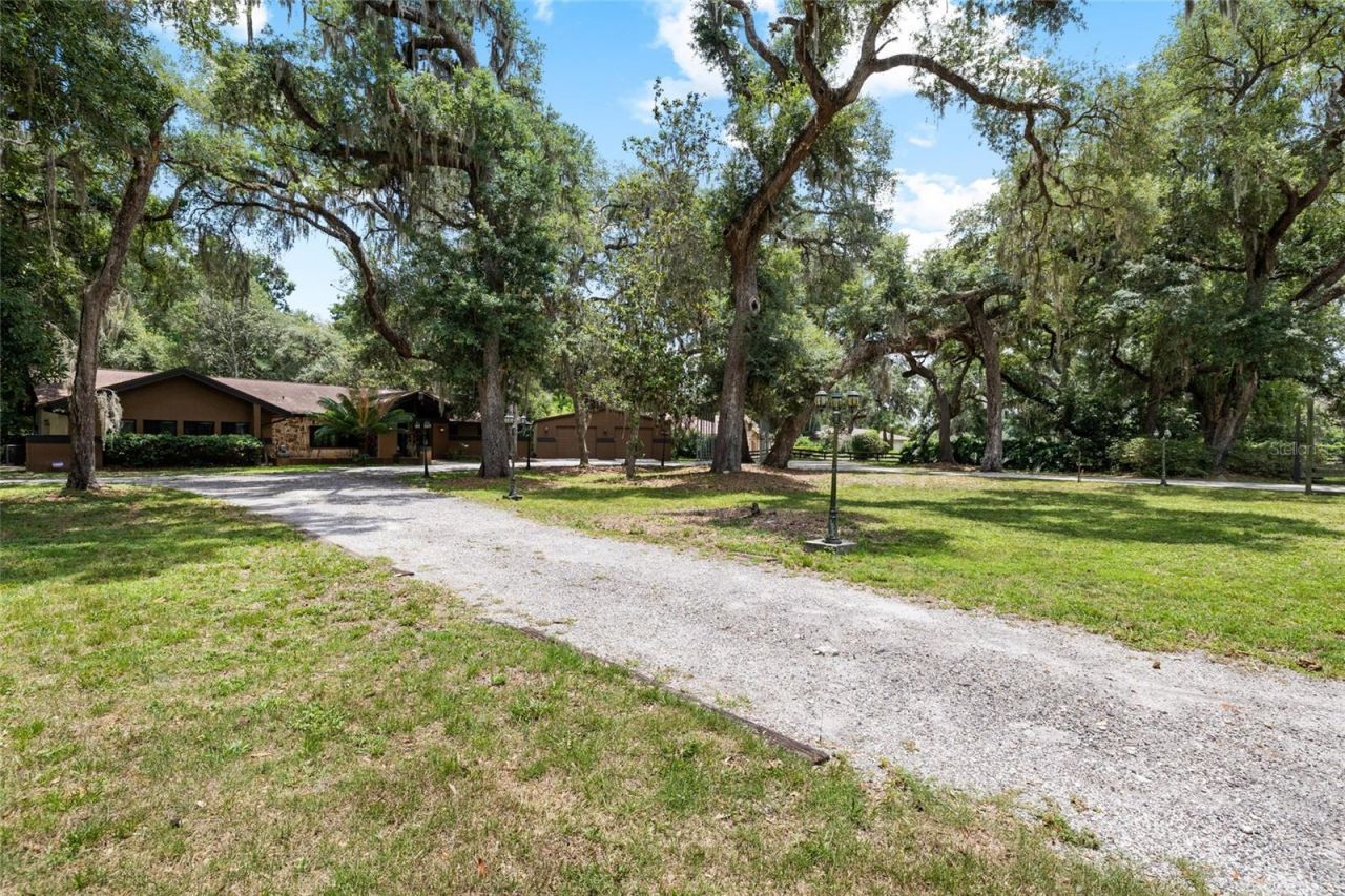 181 N Smokey Mountain Road, Seffner, FL 33584 Photo