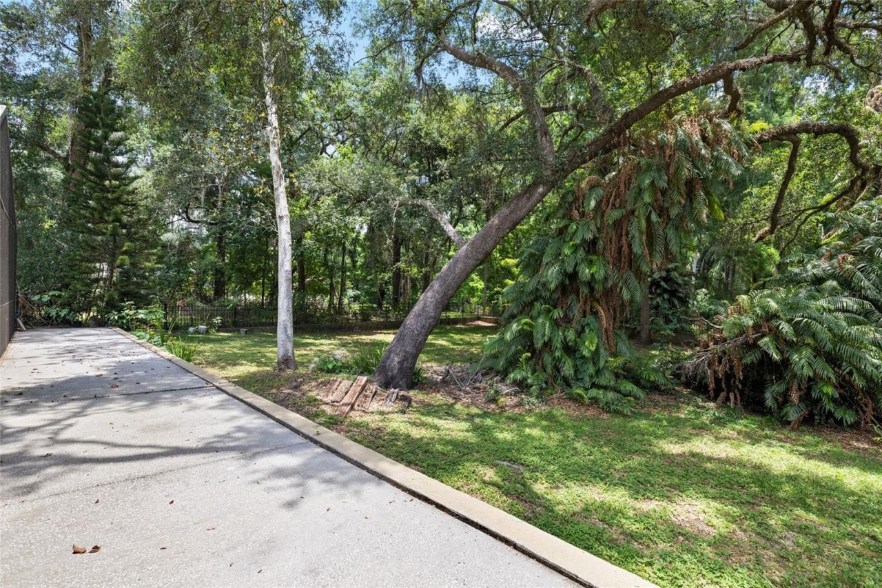 181 N Smokey Mountain Road, Seffner, FL 33584 Photo