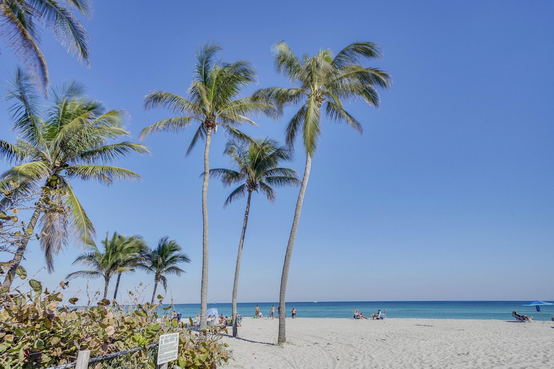 1401 S Ocean Drive, Unit 704, Hollywood, FL 33019 Photo
