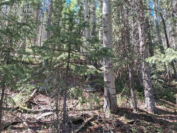 2462 Anges Drive, Cripple Creek, CO 80813