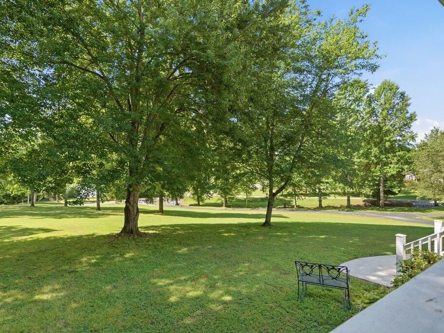 Property Image 81