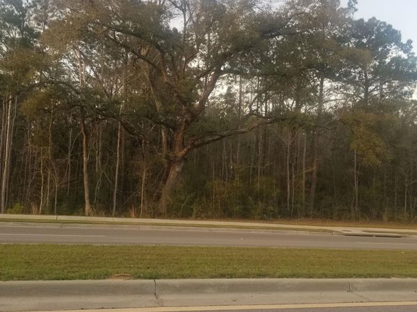 Daisy Vestry Road, Biloxi, MS 39532