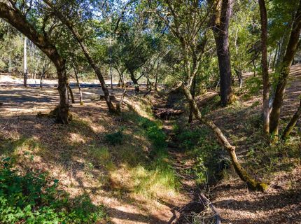 3300 Ponderosa Rd, Shingle Springs, CA 95682 Photo