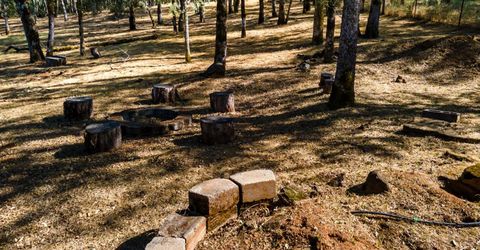 3300 Ponderosa Rd, Shingle Springs, CA 95682 Photo