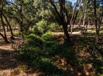 3300 Ponderosa Rd, Shingle Springs, CA 95682 Photo