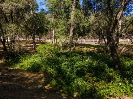 3300 Ponderosa Rd, Shingle Springs, CA 95682 Photo
