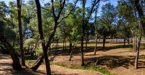 3300 Ponderosa Rd, Shingle Springs, CA 95682 Photo