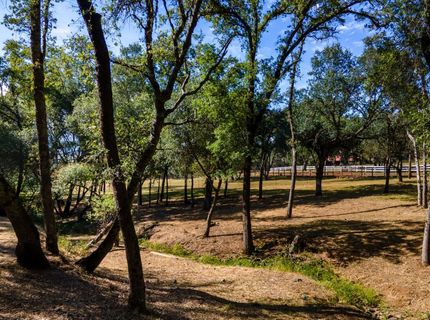 3300 Ponderosa Rd, Shingle Springs, CA 95682 Photo