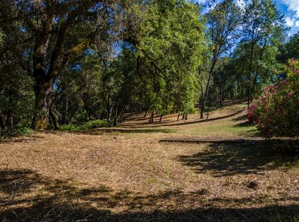 3300 Ponderosa Rd, Shingle Springs, CA 95682 Photo