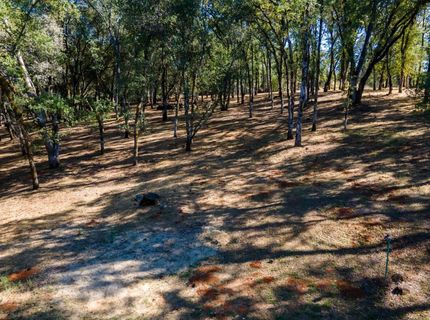 3300 Ponderosa Rd, Shingle Springs, CA 95682 Photo