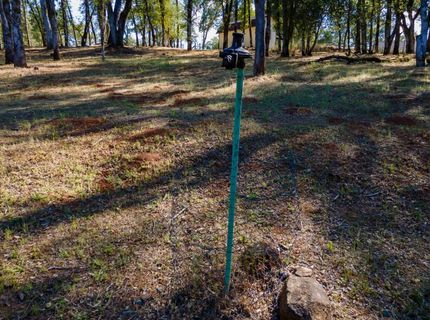 3300 Ponderosa Rd, Shingle Springs, CA 95682 Photo