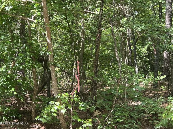 747 Sandspur Drive , Vass, NC 28394