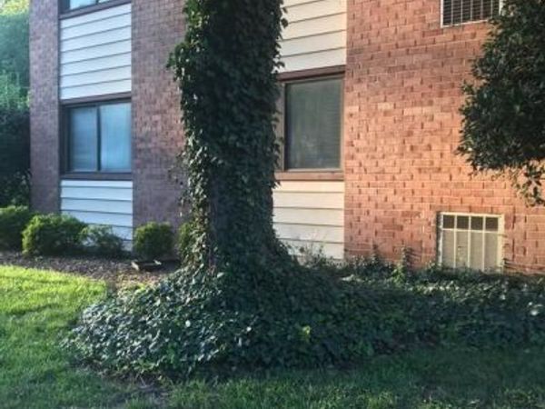 10724 WEST DRIVE, Unit 101, FAIRFAX, VA 22030