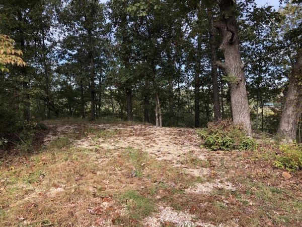 000 Clear Springs Trail , Windyville, MO 65783