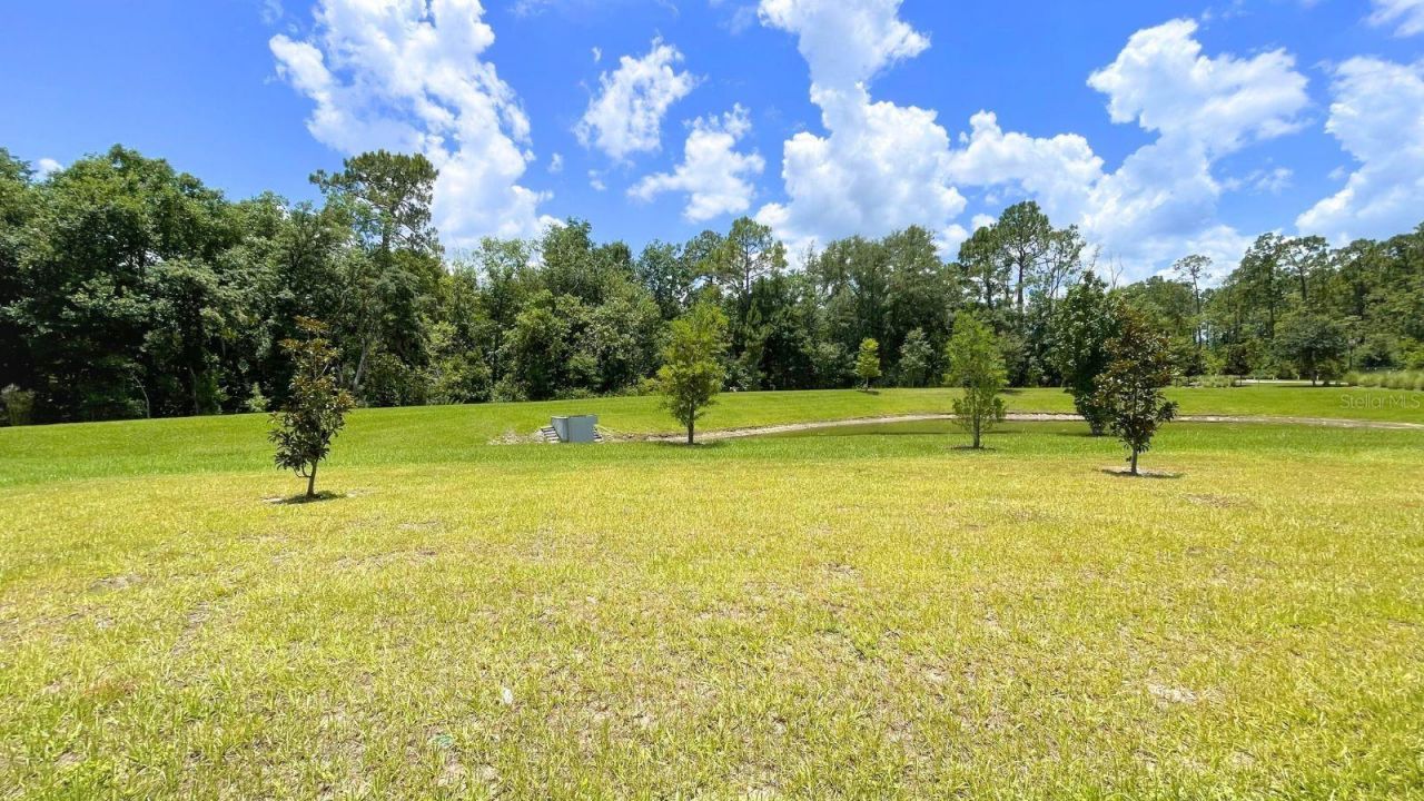 16308 Winding Preserve Circle, Clermont, FL 34714 Photo