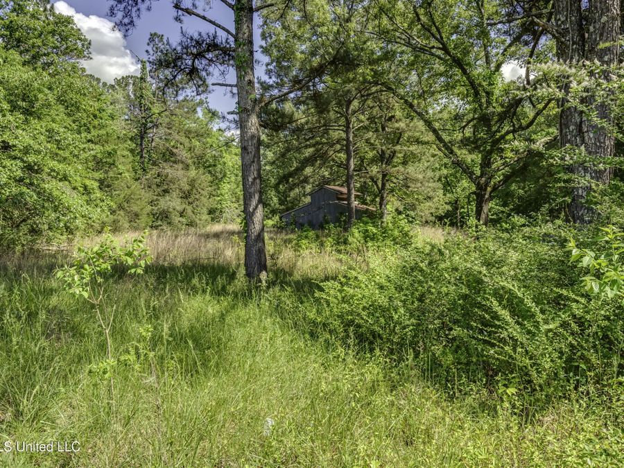 Property Image 56