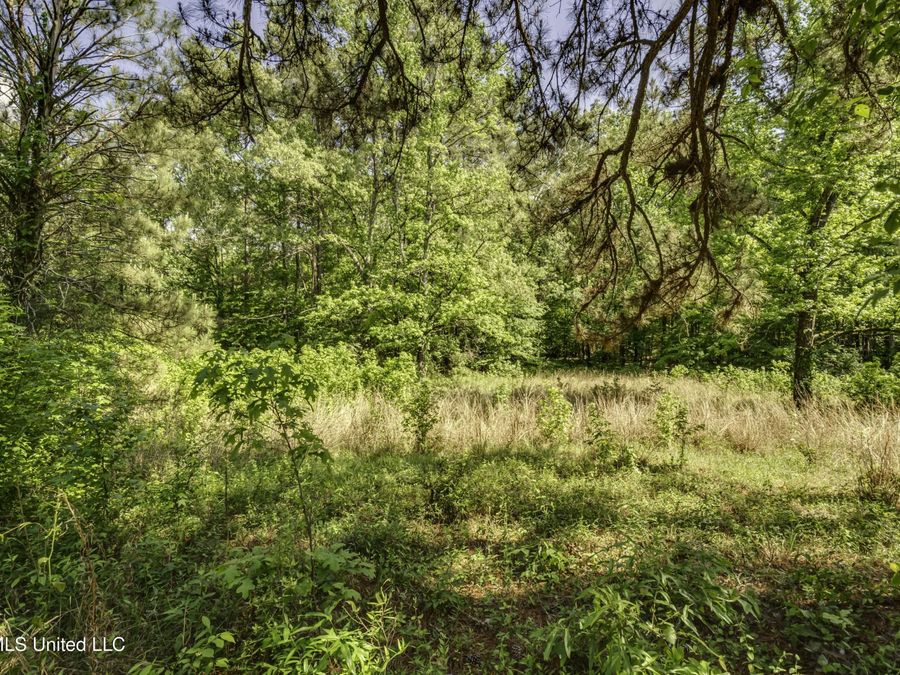 Property Image 62