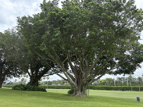 9820 S Hollybrook Lake Drive, Unit 110, Pembroke Pines, FL 33025