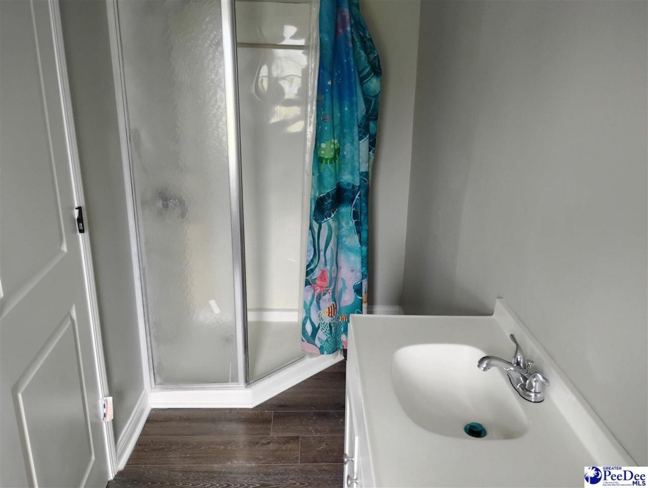 209 Shorthorn Rd. Photo 9