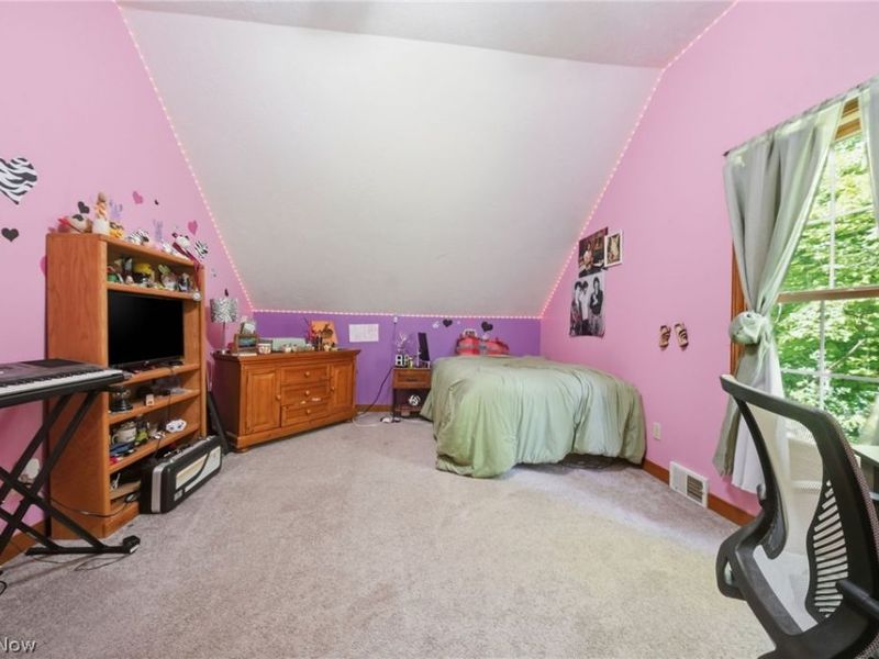 1808 Mini Ranch Trail, Geneva, OH 44041 Photo 28