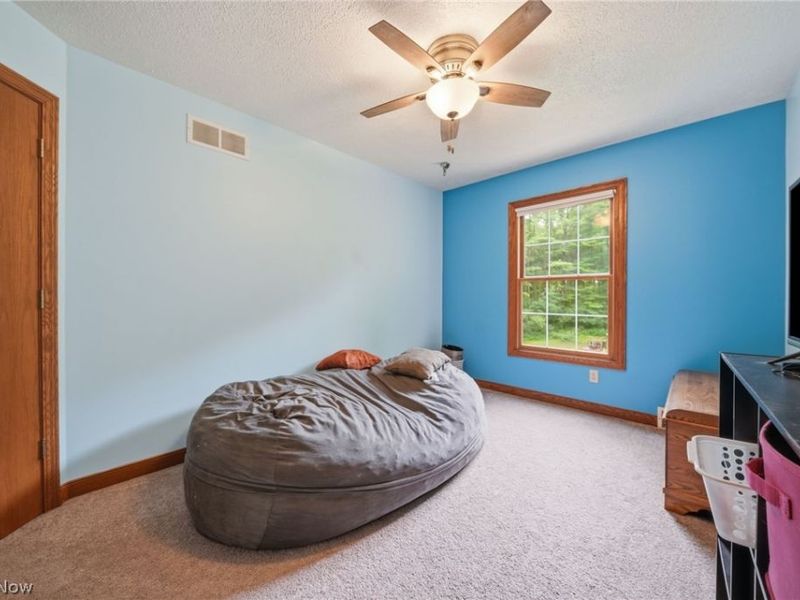 1808 Mini Ranch Trail, Geneva, OH 44041 Photo 30