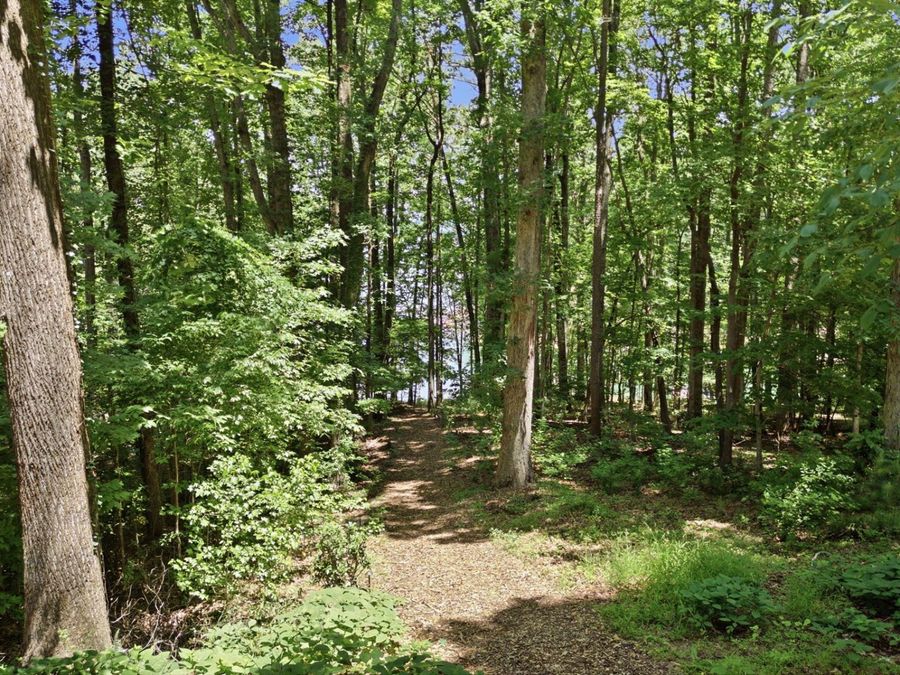 Property Image 51