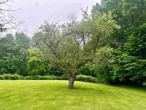 Lot 20-A Pine Street , Dover-Foxcroft, ME 04426