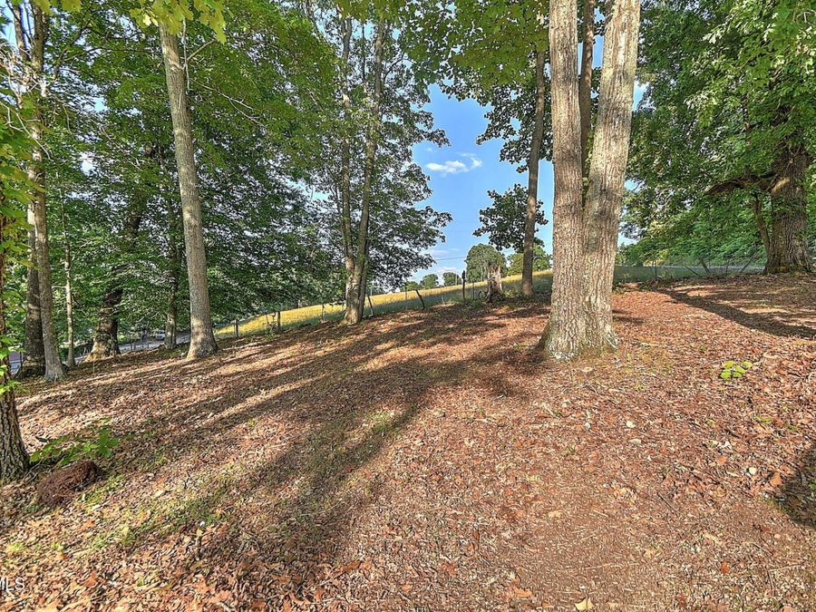 Property Image 46