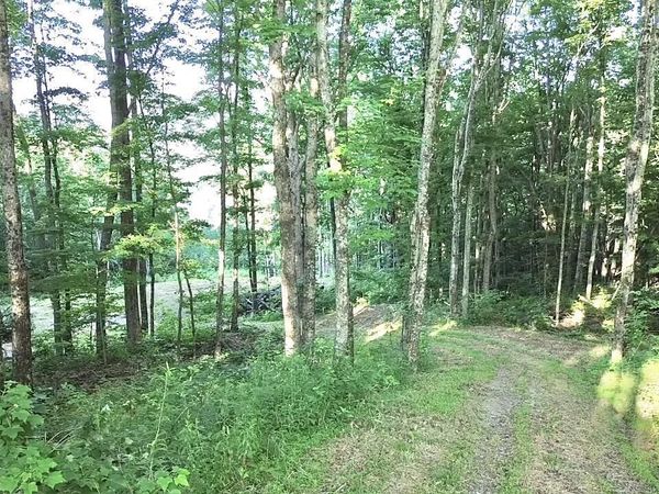 183 Persimmon Lane, Pioneer, TN 37847