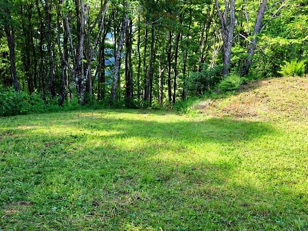 183 Persimmon Lane, Pioneer, TN 37847