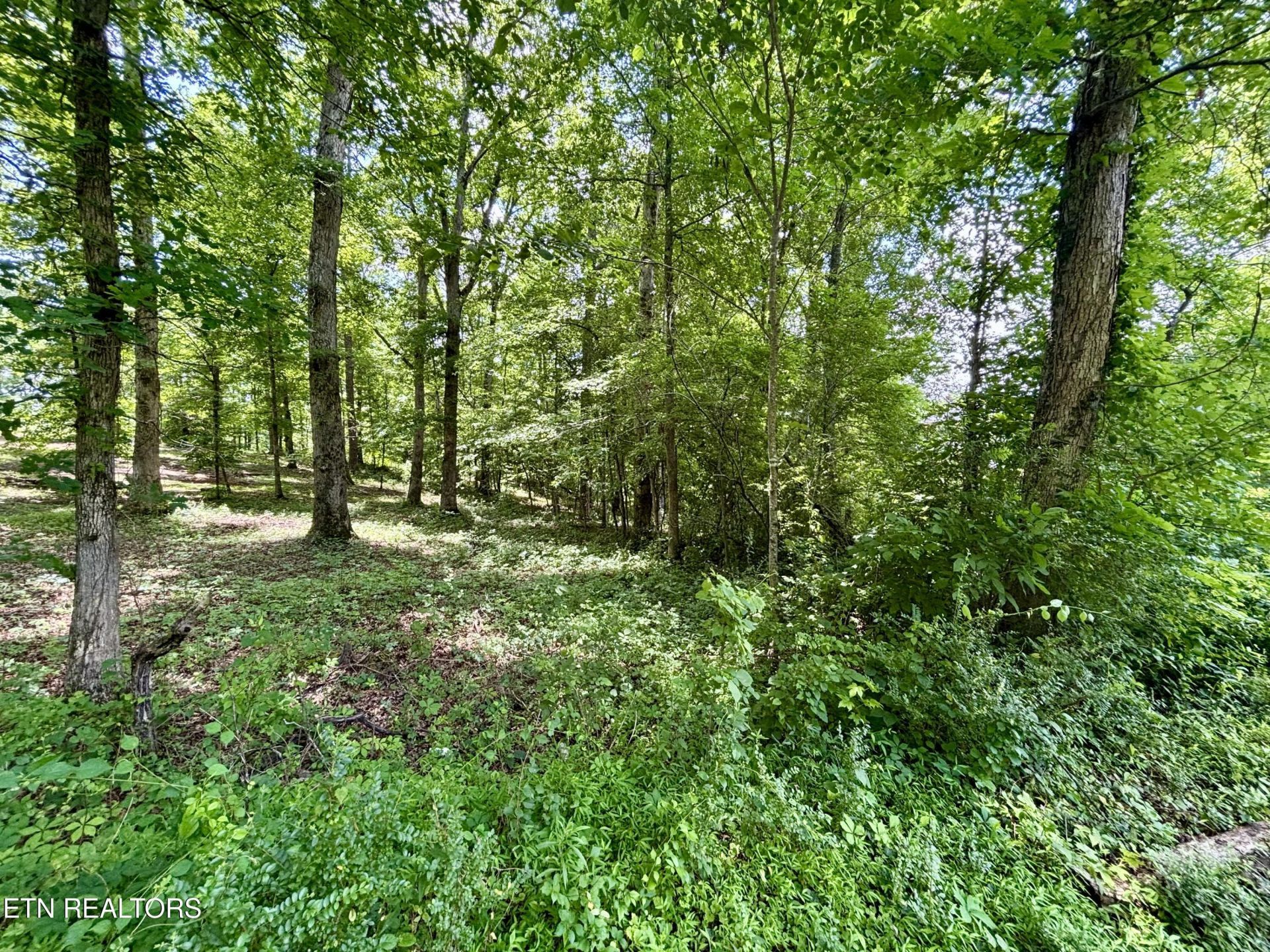 0 Rolling Acres Drive, Rockwood, TN 37854 Main Photo