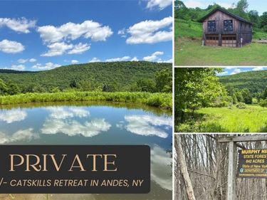 2613 Murphy Hill Road, Andes, NY 13731