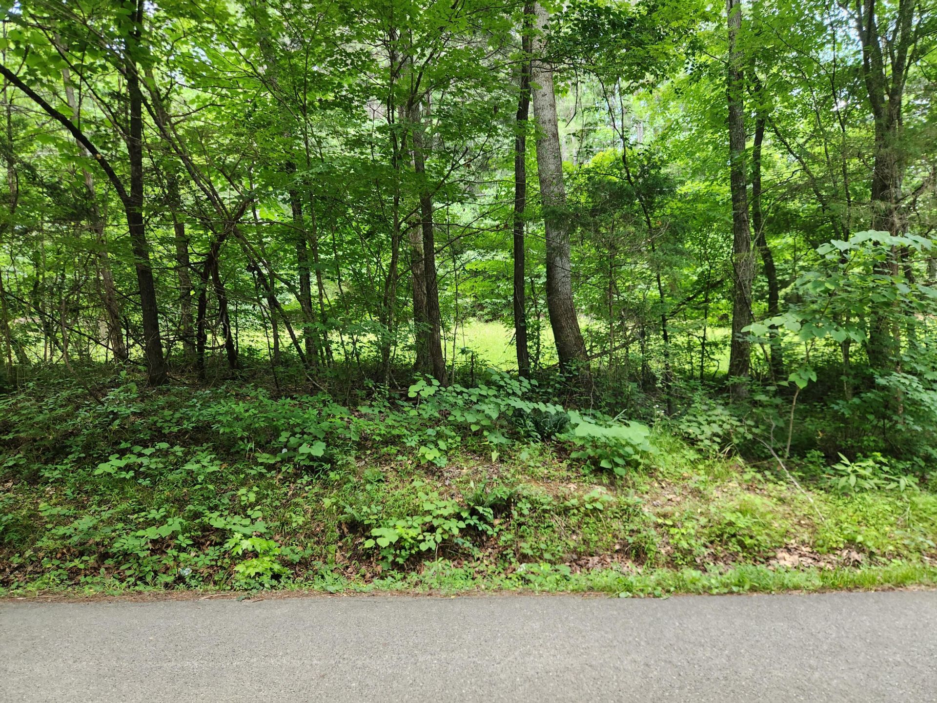 2097 Old Parksville Road, Cleveland, TN 37323 Main Photo