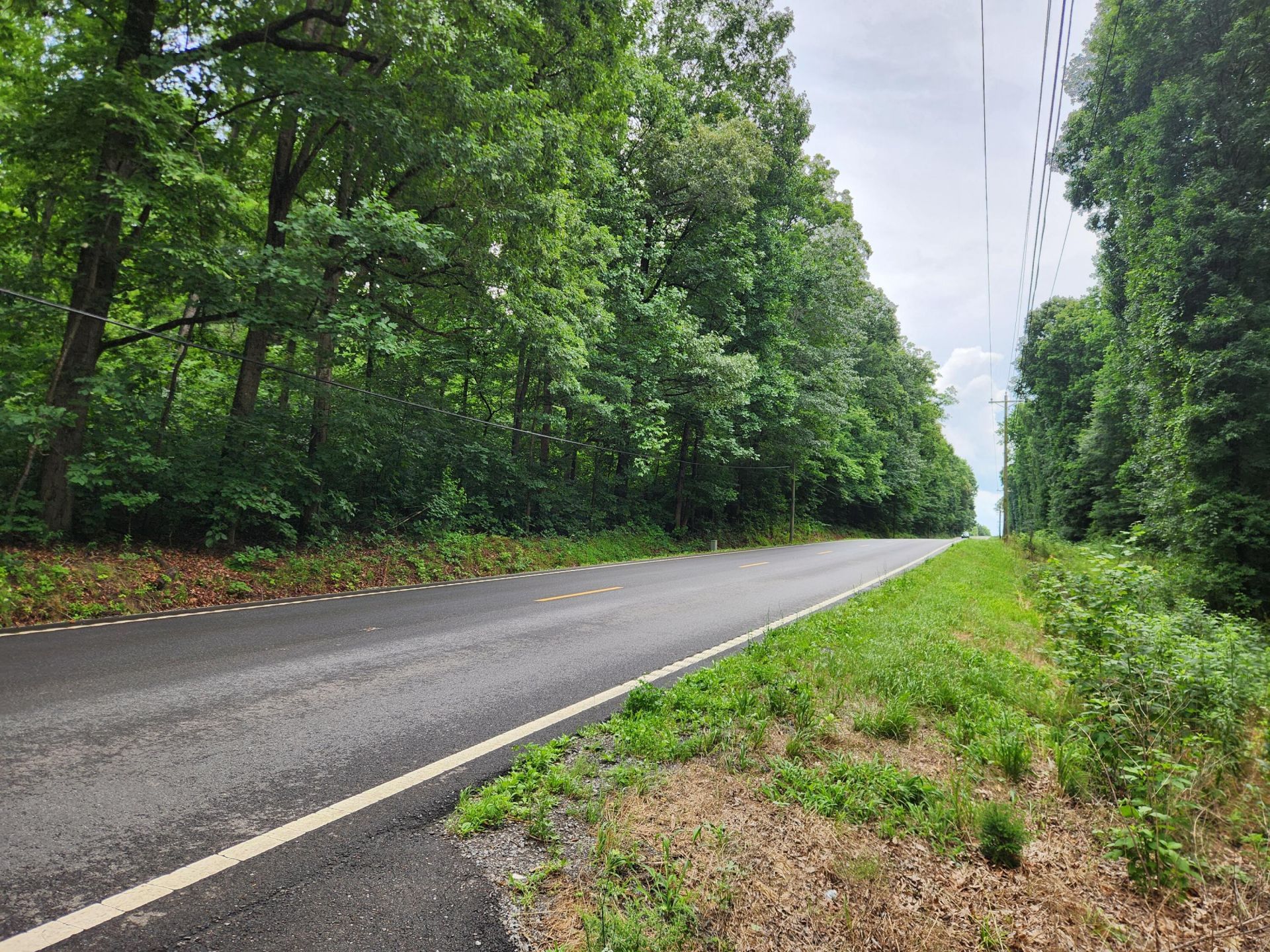 0000 Highway 411, Oldfort, TN 37362 Main Photo
