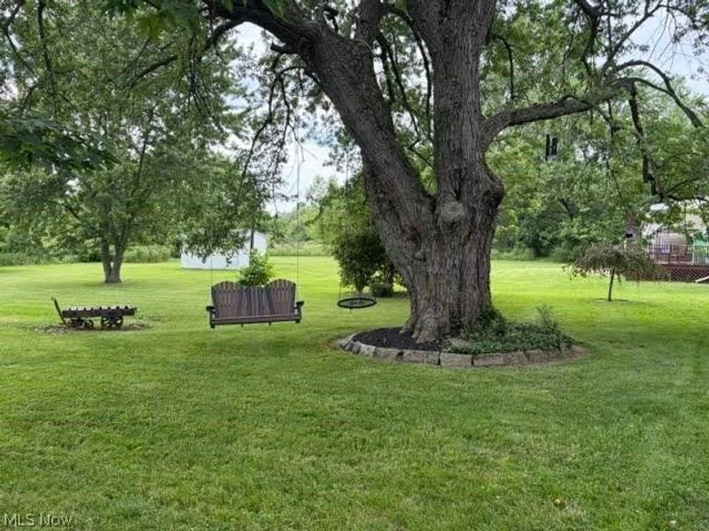 8385 Paris Avenue , Louisville, OH 44641 Photo 22