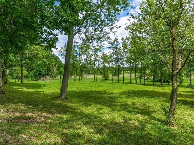 17041 Tulloss Road , Mount Vernon, OH 43050 Photo 105