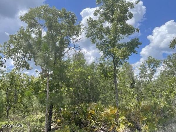 0000A NW Rowland Lane, Fountain, FL 32438