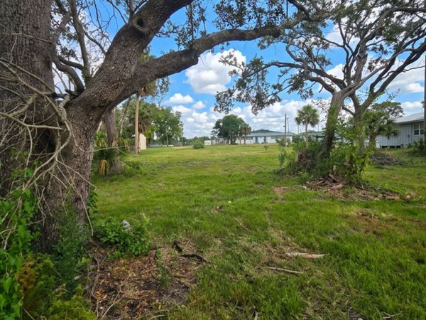 1111 NE Centra Avenue , Steinhatchee, FL 32359