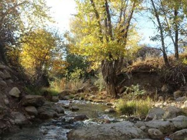 10830 E 18750 N, Mt Pleasant, UT 84647