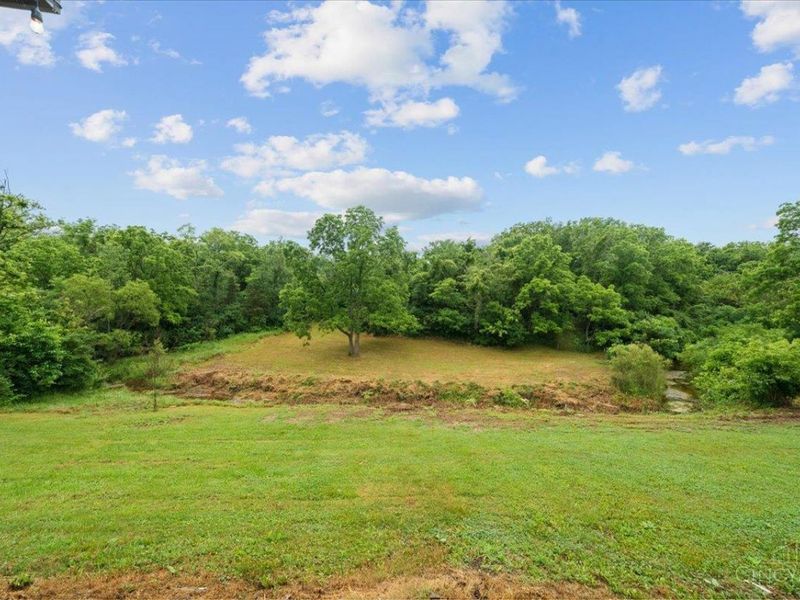 2972 Lucas Road, Hamersville, OH 45130 Photo 74