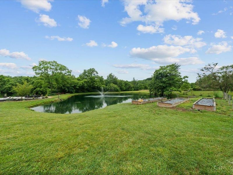 2972 Lucas Road, Hamersville, OH 45130 Photo 75