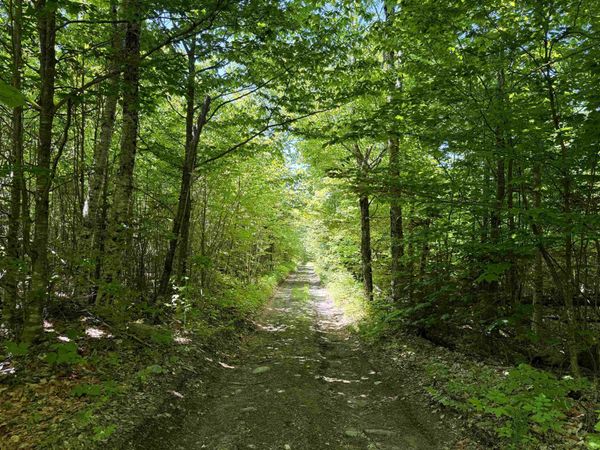 0 Georges Boulevard, East Haven, VT 05837