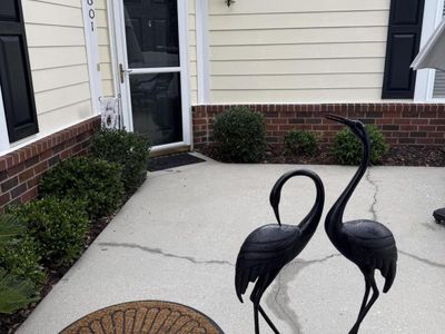 8800 Dorchester Road, Unit 1601, North Charleston, SC 29420
