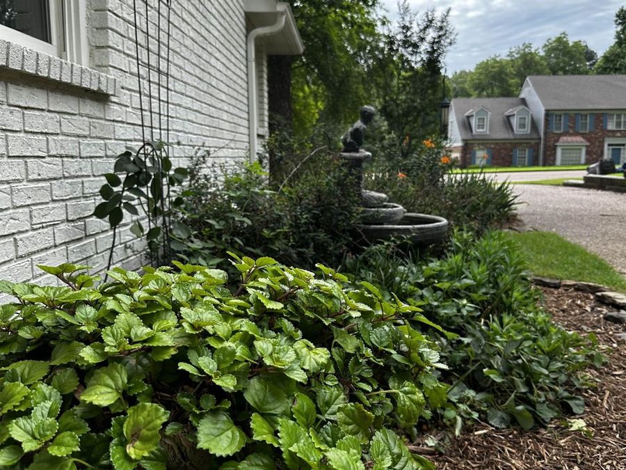 Property Image 31