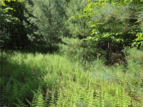 7399 Pennysettlement Road , Lyons Falls, NY 13368