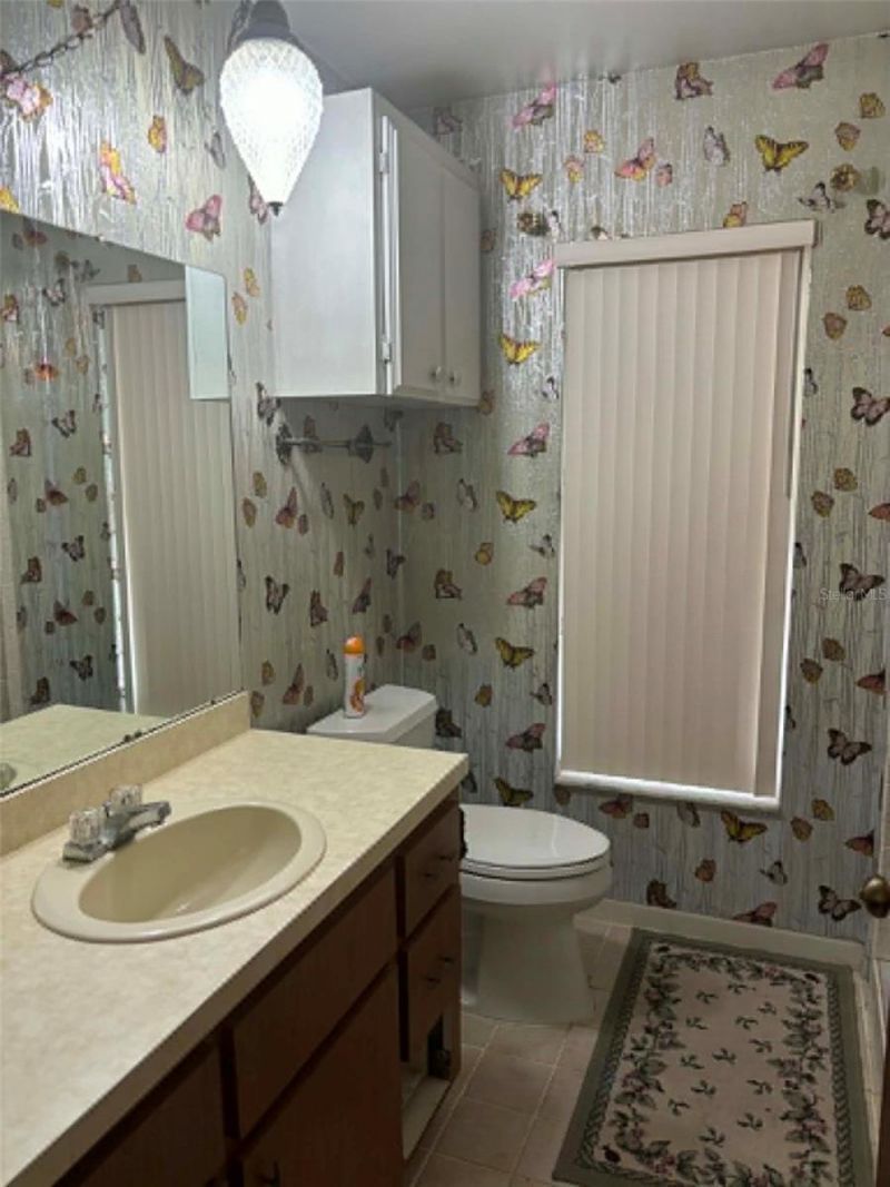 919 Cr 482d, Lake Panasoffkee, FL 33538 Photo